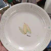 ظروف کلکسیونی وآنتیک|کلکسیون اشیاء عتیقه|کازرون, |دیوار