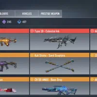 اکانت متیک دار