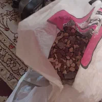 اکواریوم|ماهی|اصفهان, شفق|دیوار