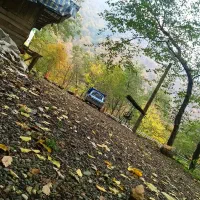 استخدام نیروی آقا جهت کار در باربری