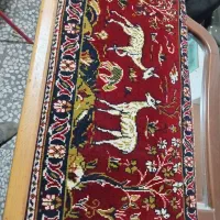 18عدد پشتی درحدنو