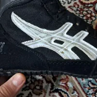 کفش کشتی|کیف، کفش، کمربند|نسیم‌شهر, |دیوار