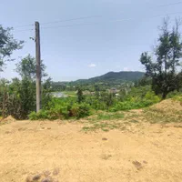 فروش فوری زمین ۷۴۵متری داخل طرح هادی، روستای چماچا|فروش زمین و ملک کلنگی|شفت, |دیوار