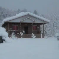 رهن و اجاره ویلا تو دل جنگل میخوایی تماس بگیر