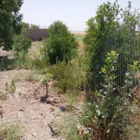 باغچه بکر در مهارلو|فروش زمین و ملک کلنگی|شیراز, شاه قلی بیگی|دیوار