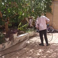 نظافت ساختمان