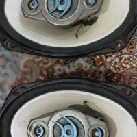 باند پایونر