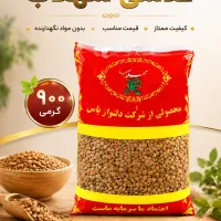 عدسی بسته ای و فله ای مستقیم از تولید کننده