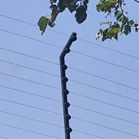 فنس الکتریکی ( شرکت حصار الکتریک پارسا )|مصالح و تجهیزات ساختمان|کرج, گوهردشت|دیوار