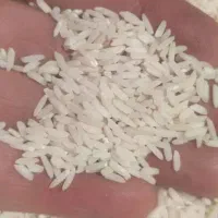 برنج محلی دورود|خوردنی و آشامیدنی|شاهین‌شهر, نظامی|دیوار