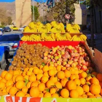 2 عدد گاری یا چرخ دستی میوه و خشک بار