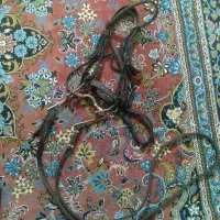 گردنی اسب|اسب و تجهیزات اسب‌سواری|گنبد کاووس, |دیوار