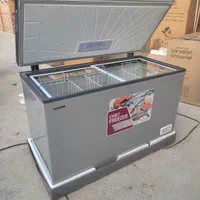 فریزر صندوقی لوکس ویژن ۲۵۰لیتری