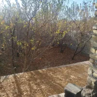 فروش-باغ-در-سپیدان-هماشهر