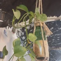 گلدان اویزی تزئینی وشیشه ای|صنایع دستی و سایر لوازم تزئینی|تفت, |دیوار