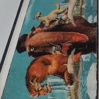 فرش اتاق خواب|فرش|کرج, فاز ۳ گوهردشت|دیوار