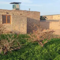 زمین فروشی (مزرعه نو)
