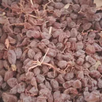 کشمش بیدانه|خوردنی و آشامیدنی|تاکستان, |دیوار