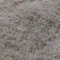 برنج هاشمی درجه یک سورتینک زده از دست خود کشاورز|خوردنی و آشامیدنی|کلاچای, |دیوار