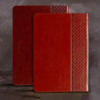 نیروی کار صحافی