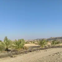 زمین کشاورزی و باغ و گله دانی بیدو