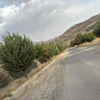 492 متر زمین شهرک آویشن/ احمدآباد / ششدانگ