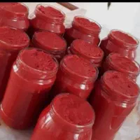رب خانگی علا