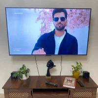 تلویزیون ای ای دی ایکس ویژن ۵۵