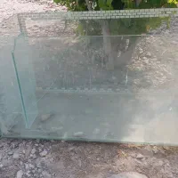 اکواریم