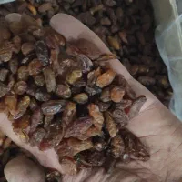 کشمش آفتابی ضمانتی کاشمر