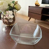 سرووپزیرایی