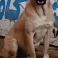 واگذاری ماچ سراب