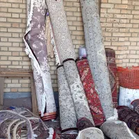قالیشویی مبل شویی در تهرانسر شهرک ولیعصر یافت آباد|خدمات نظافت|تهران, تهرانسر مرکزی|دیوار