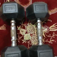 دمبل 10 کیلویی|تجهیزات ورزشی|سنندج, |دیوار