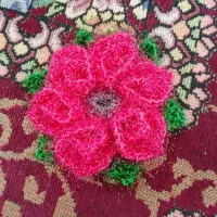 اسکاج و لیف