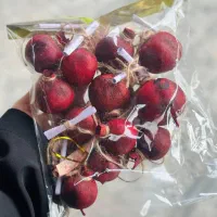 انار و فال یلدا زیر قیمت|صنایع دستی و سایر لوازم تزئینی|بندر کنگان, |دیوار