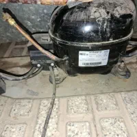 یخچال فریزرآزمایش دودرب درجه۱|یخچال و فریزر|برخوار, |دیوار