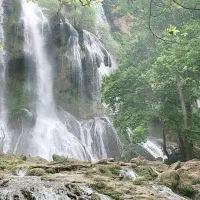 تشکیل گروه افرودی