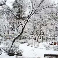 ۱۰۰ متری/پارک ساعی/آرژانتین/کم سال/ارزنده|فروش آپارتمان|تهران, آرژانتین|دیوار