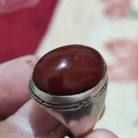 عقیق سرخ|جواهرات|مشهد, شهید آوینی|دیوار