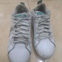 کتونی مارک ادیداس