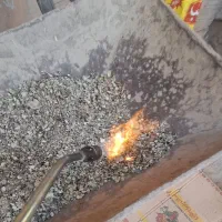 کود‌..زل‌کبوتر|خدمات باغبانی و درختکاری|پیر بکران, |دیوار