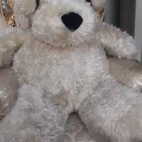 عروسک پولیشی|اسباببازی بچه|ری, دیلمان|دیوار