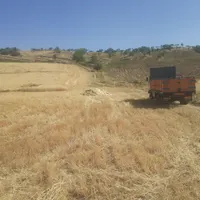 حمل گندم و جو و انواع بار|خدمات حمل و نقل|بروجرد, |دیوار