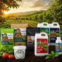 باردهی بهتر با روش اصولی