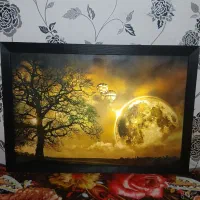 دو عدد تابلو|تابلو، نقاشی، عکس|اراک, |دیوار