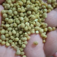 کود دی امونیوم فسفات|خدمات باغبانی و درختکاری|بم, |دیوار