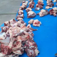 خدمات قصابی مراسمات شما|خدمات پذیرایی، مراسم|نظرآباد, نجم آباد|دیوار