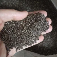 بزرک|خوردنی و آشامیدنی|قم, محمد آباد|دیوار