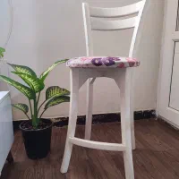 صندلی|صندلی و نیمکت|بندر ماهشهر, |دیوار